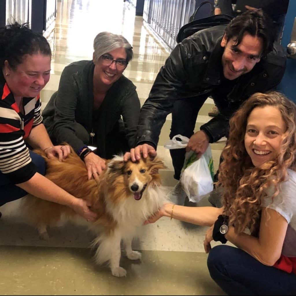 staff petting dog